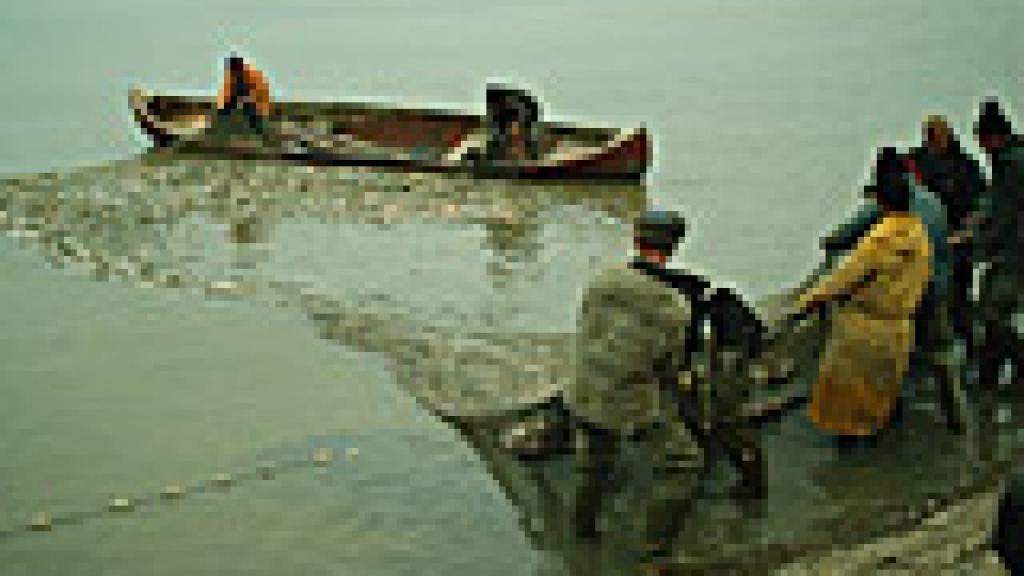 a group of people standing next to a body of water