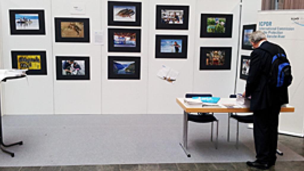 Man viewing photography gallery