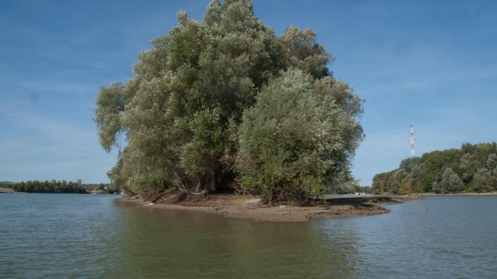 an island in a body of water