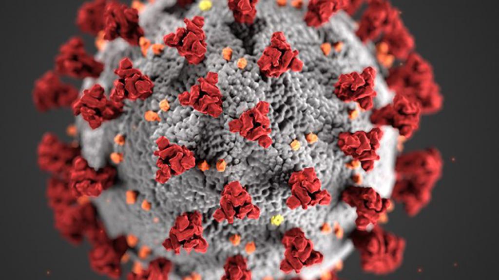 Close up of virus