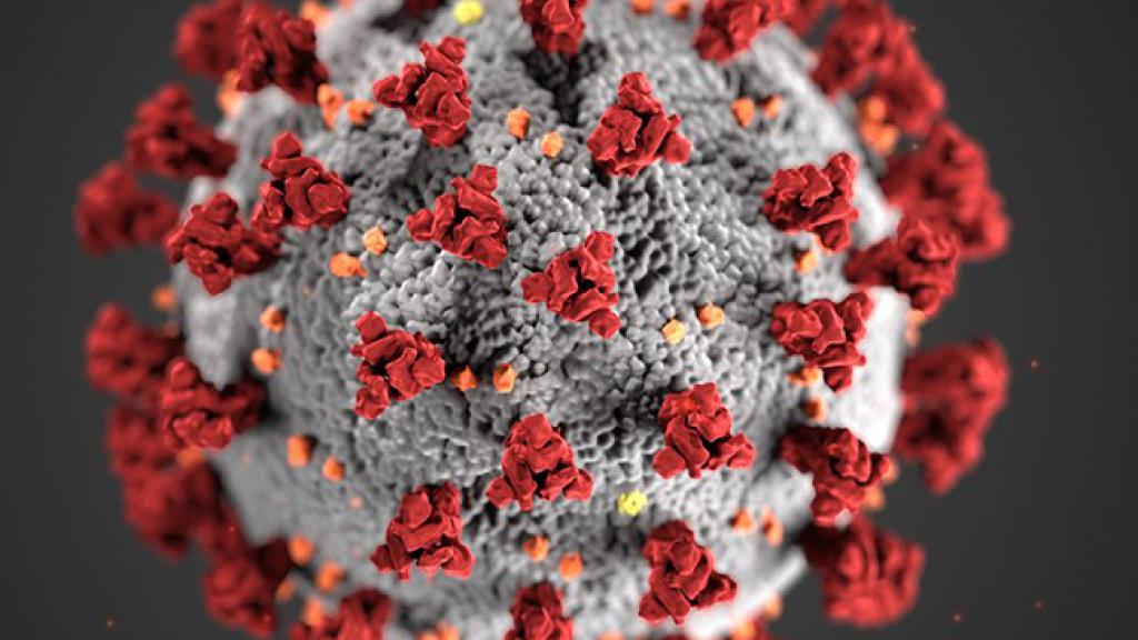 Close up of virus 