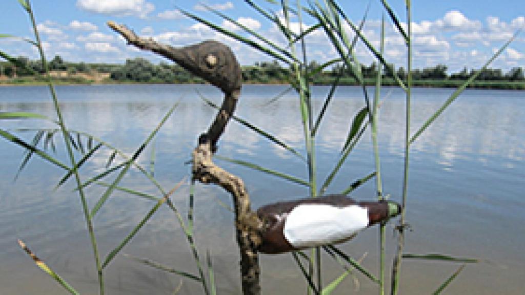 a bird sitting on top of a body of water