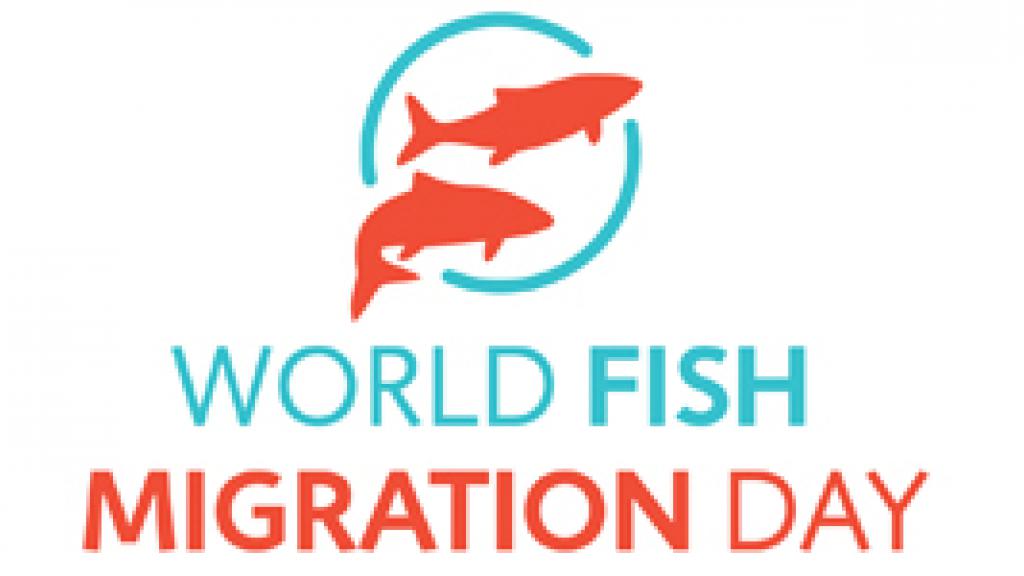 World Fish Migration Day logo