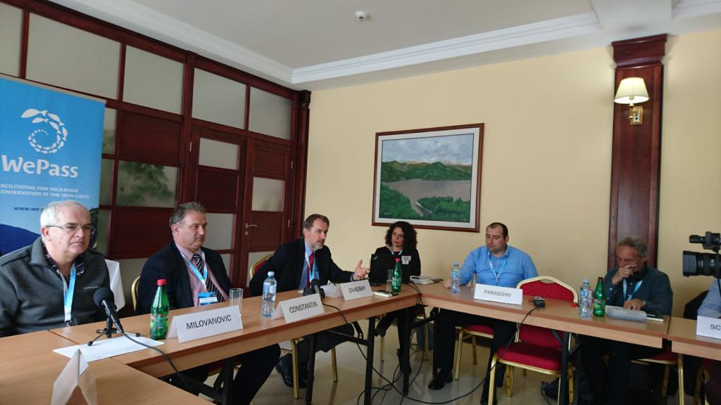 WePass meeting participant discussion