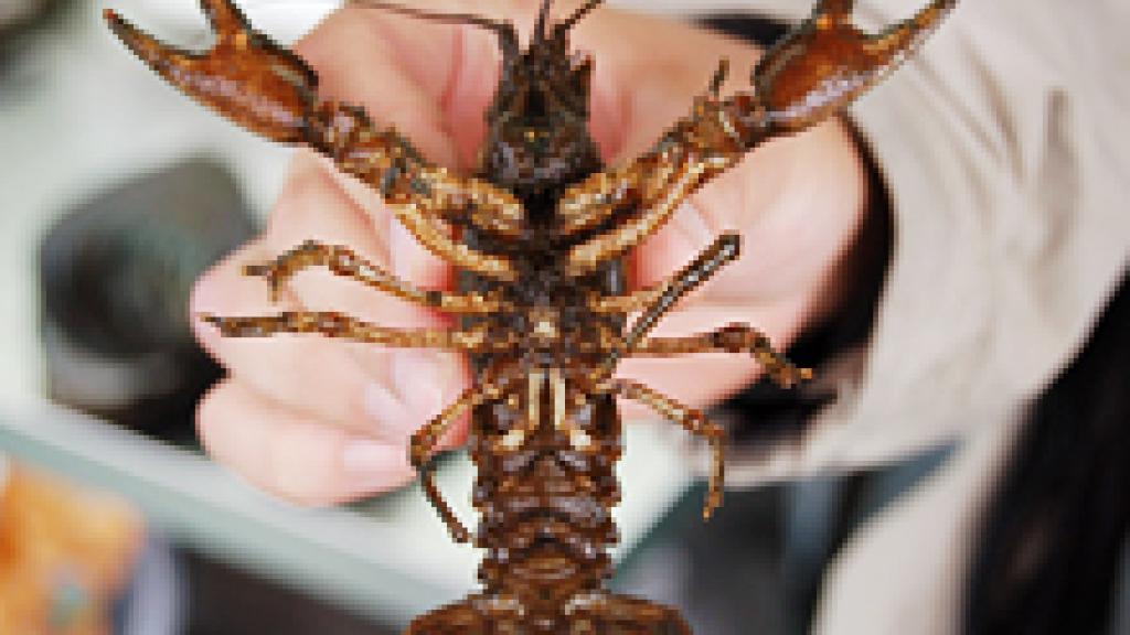 Man holding up crustacean 