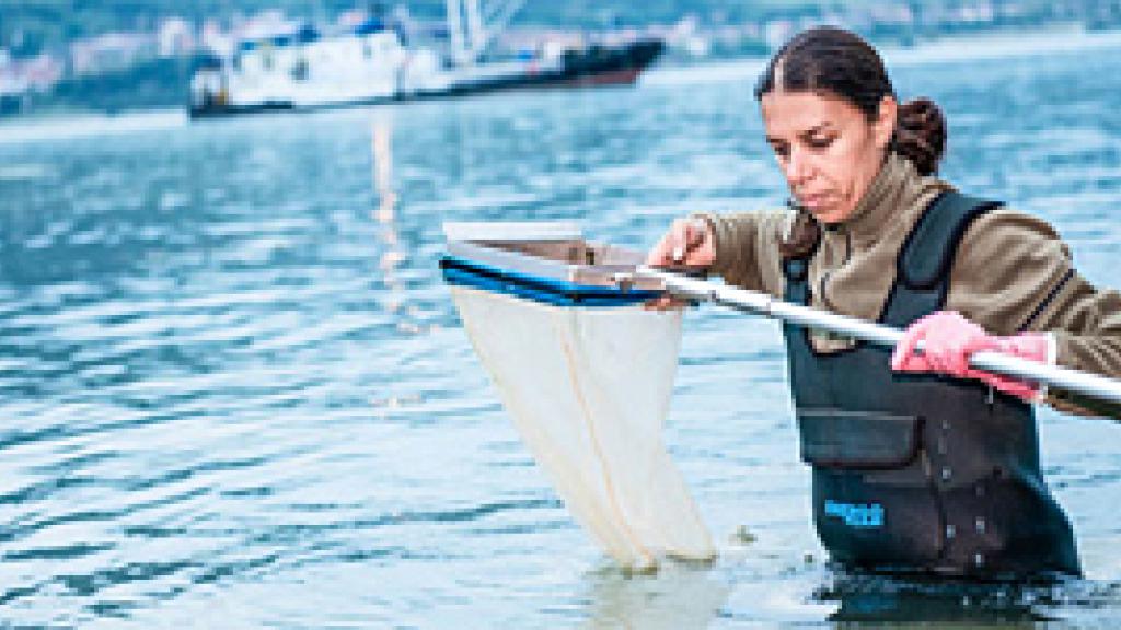 Woman in a river with a water net 