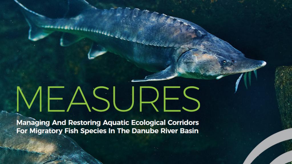 Promotional image of MEASURES project with fish