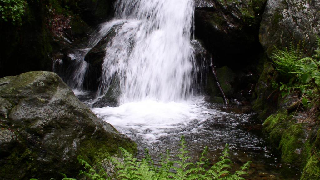 a large waterfall in a forest