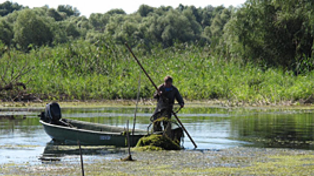 a man rowing a boat in a body of water