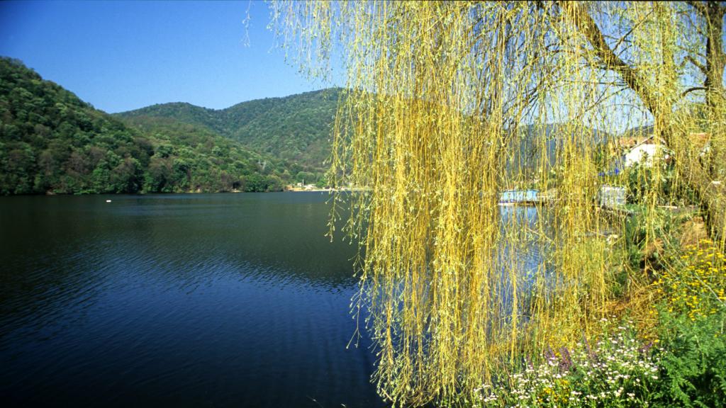 a body of water surrounded by trees and hills