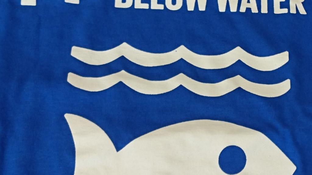 Image of UN SDG 14 "Life Below Water"