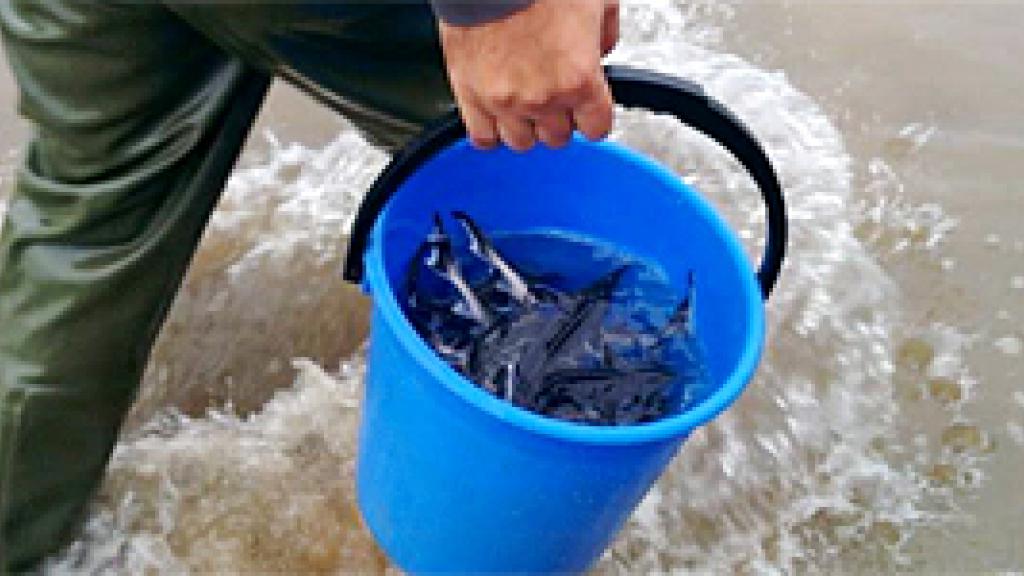 a person with a blue bucket