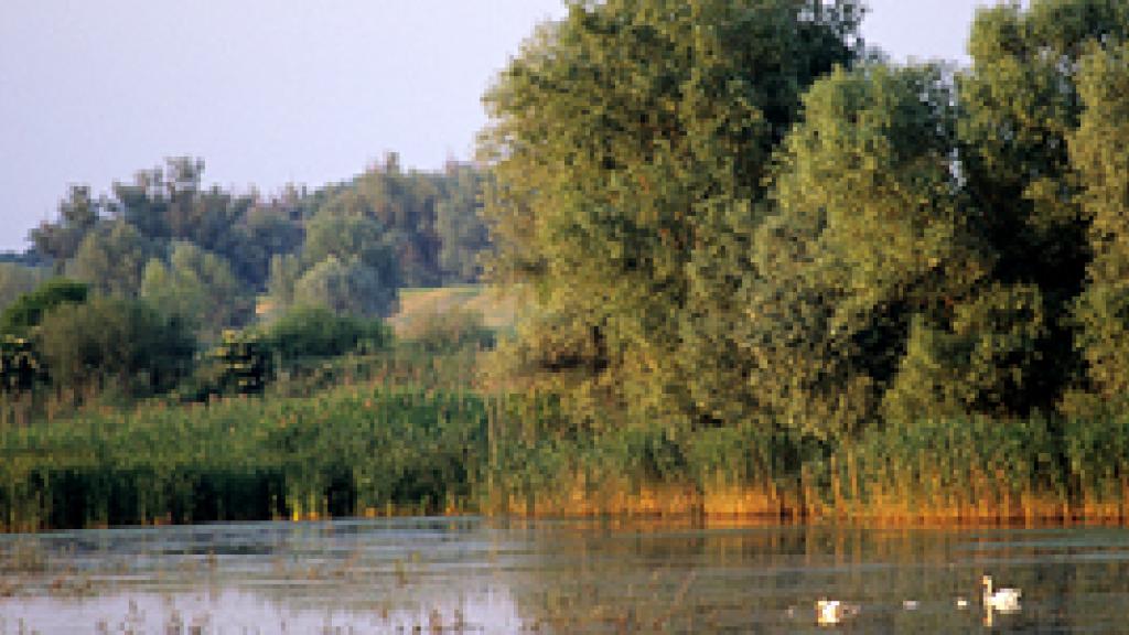 a river running through a body of water