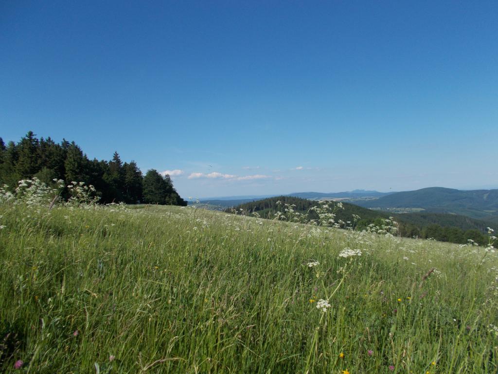 View of a plain next to mountains