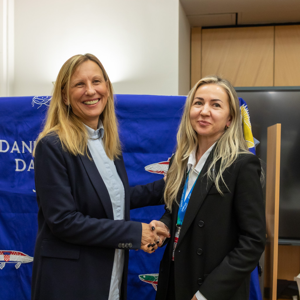 two women shaking hands and smiling