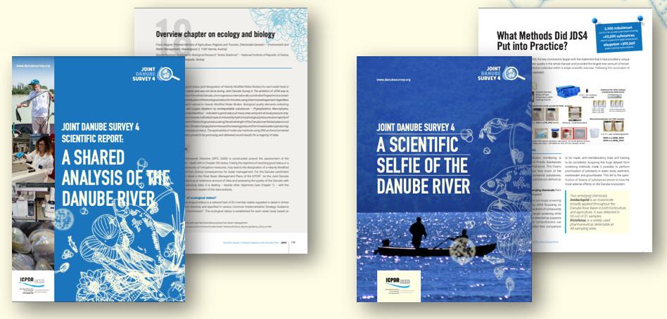 Cover pages of JDS4 reports