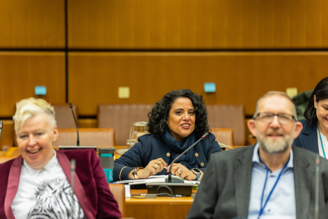 Hélène Masliah-Gilkarov, Technical Expert for Public Participation and Communication for the ICPDR at the 27th Ordinary Meeting