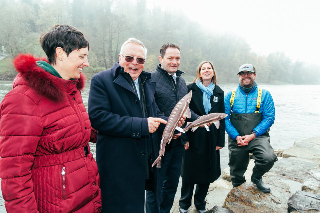 People standing the water 