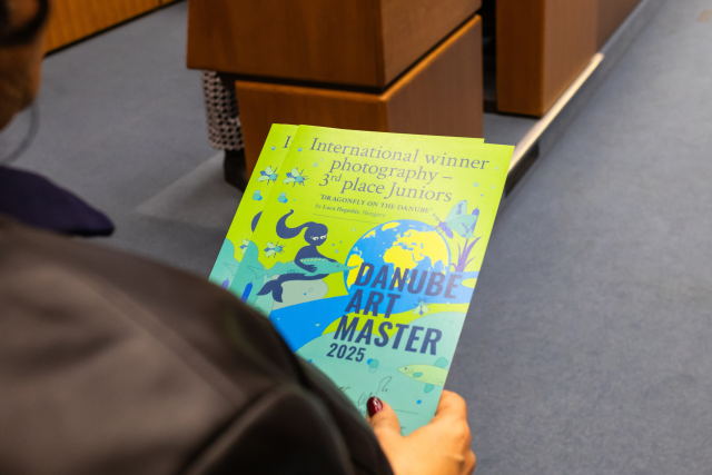 Colourful Danube Art Master Certificate