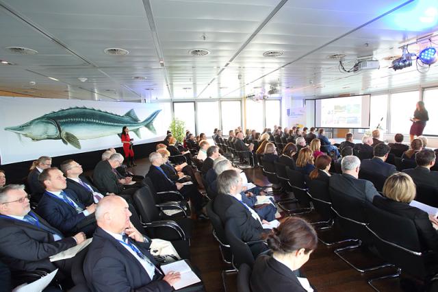 a group of people sitting in chairs in front of a crowd