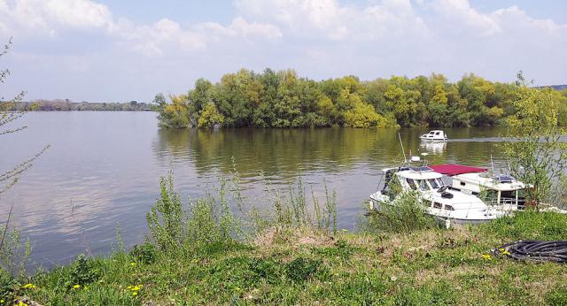 a small boat in a body of water surrounded by trees