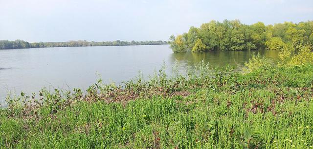 a river with grass and a body of water