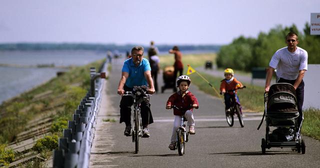 a group of people riding on bicycles