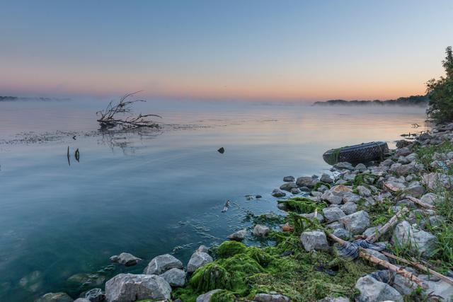 a flock of seagulls standing on a rocky beach