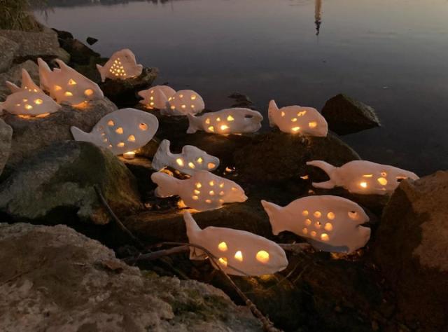 aligned lanterns in the shape of fish glowing in the dark by the water