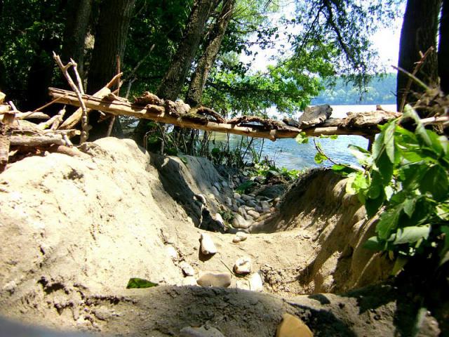 a close up of a rock next to a tree