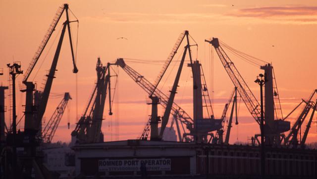 cranes in the sunset