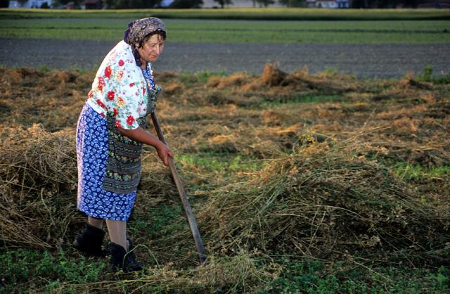 a woman working in the field