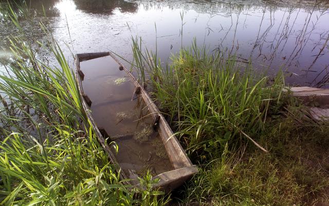 a close up of a sunken boat at a body of water