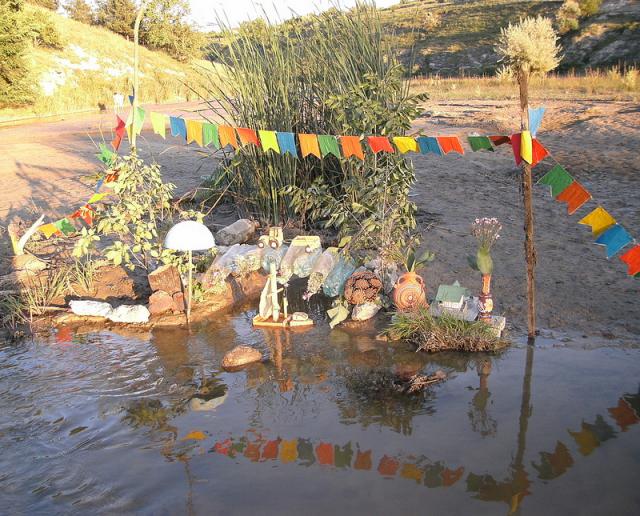 a colorful kite in a pond