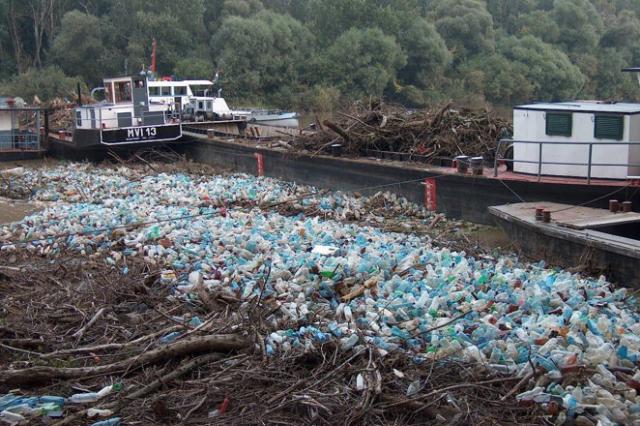 Plastic litter accumulation in a river