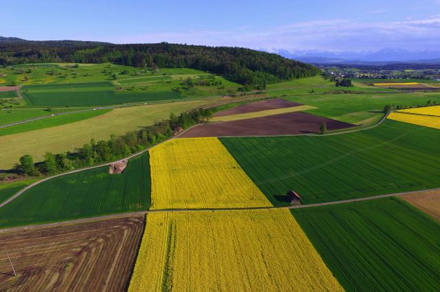 Aerial image of a field with different colours representing the different crops on the field