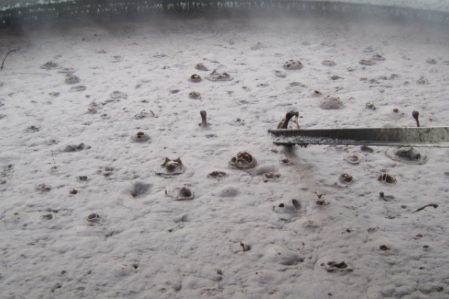 image of sludge 