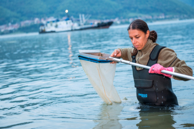 A woman in the water holding a net and looking at it 