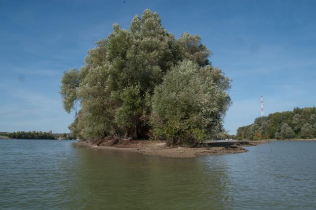 an island in a body of water