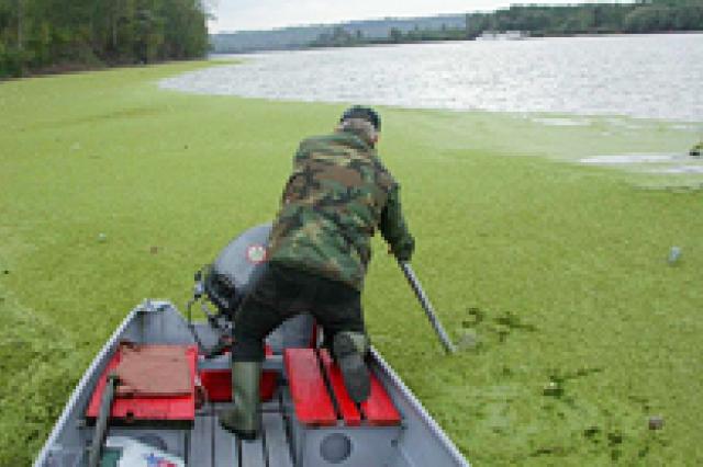 A man on a boat in algae covered water 