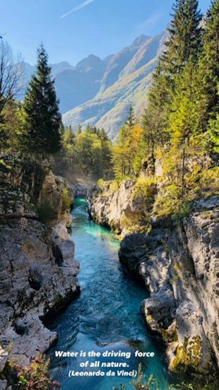 Aerial shot of river through a forest and mountains.