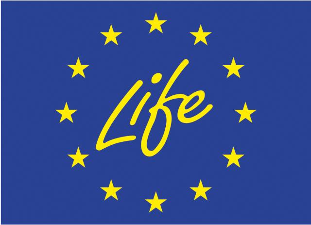 Blue EU flag with 12 stars and the text "Life"