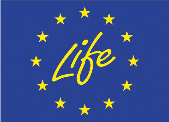 Blue EU flag with 12 stars and the text "Life"